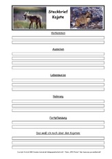 Kojote-Steckbriefvorlage.pdf